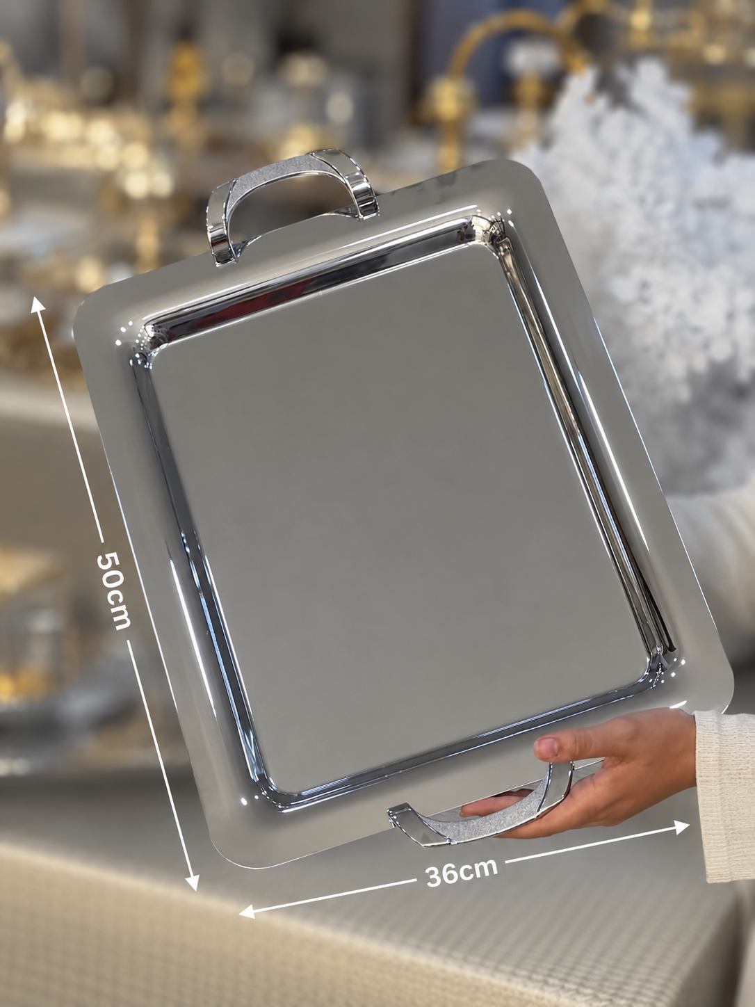 plateaux inox premium 01 pièce